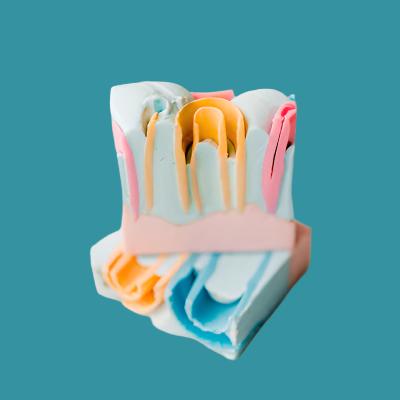 Salty & Hollow Soap Bar